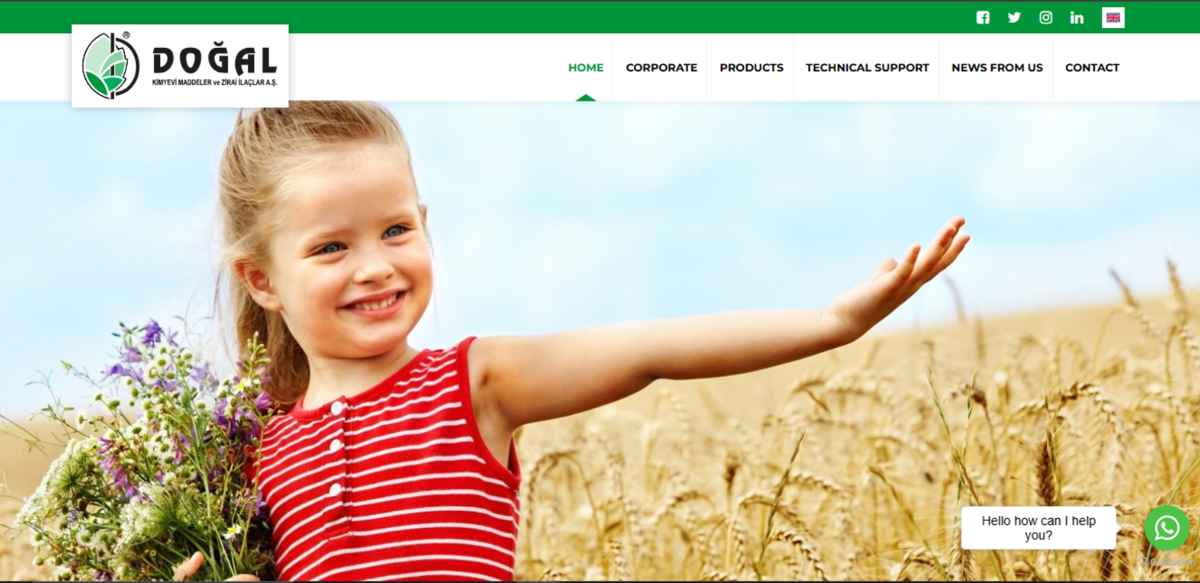 Web Tasarım/Logo/Adwords