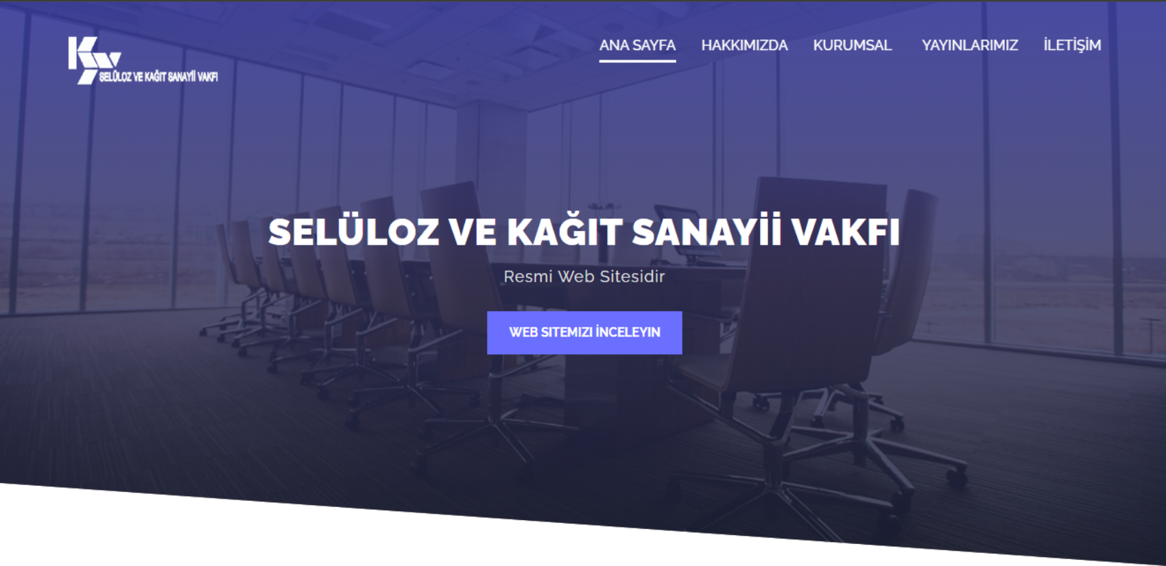 Web Tasarım/Logo/Adwords