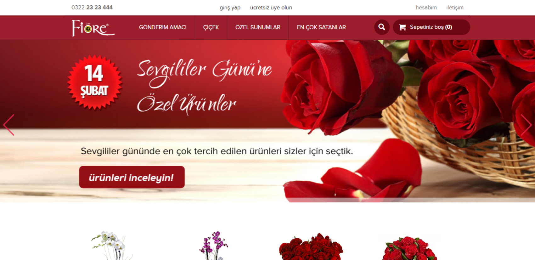 Web Tasarım/Logo/Adwords